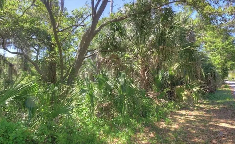 Lot 2 SW 165TH AVENUE Cedar Key, FL 32625