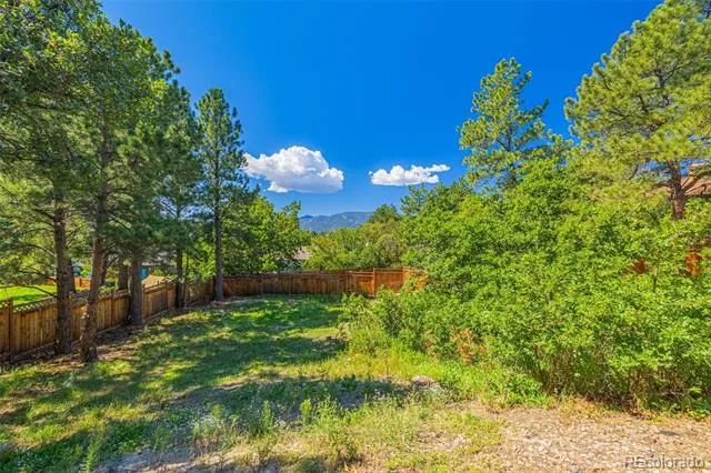 7169 Dark Horse Place Colorado Springs, CO 80919