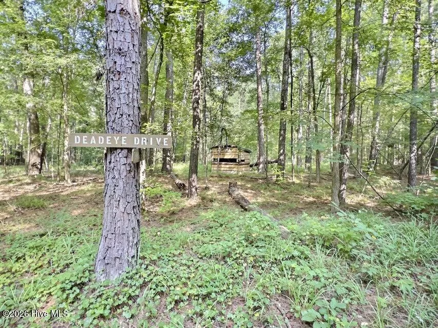 157 Promised Land Road Edgefield, SC 29824