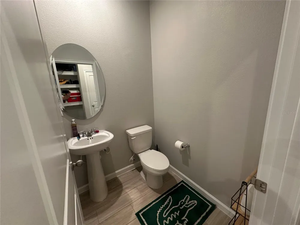26128 FANTASY SKY LANE Lutz, FL 33559