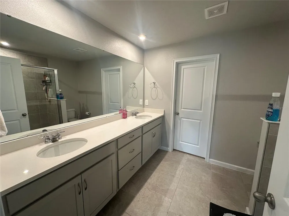 26128 FANTASY SKY LANE Lutz, FL 33559