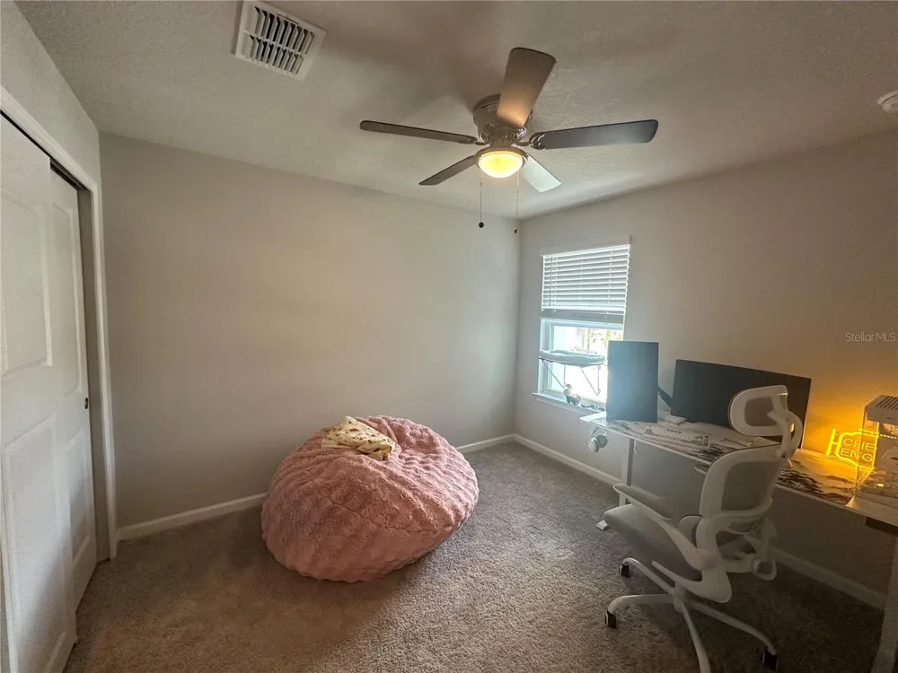 26128 FANTASY SKY LANE Lutz, FL 33559