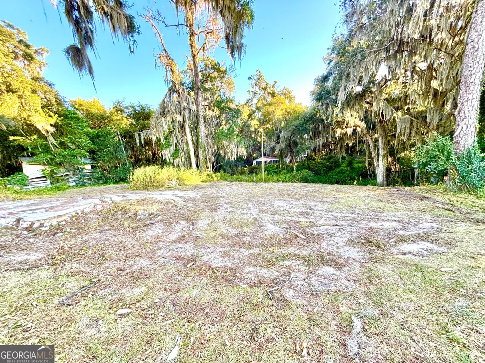 1334 Azalea RD NE Townsend, GA 31331