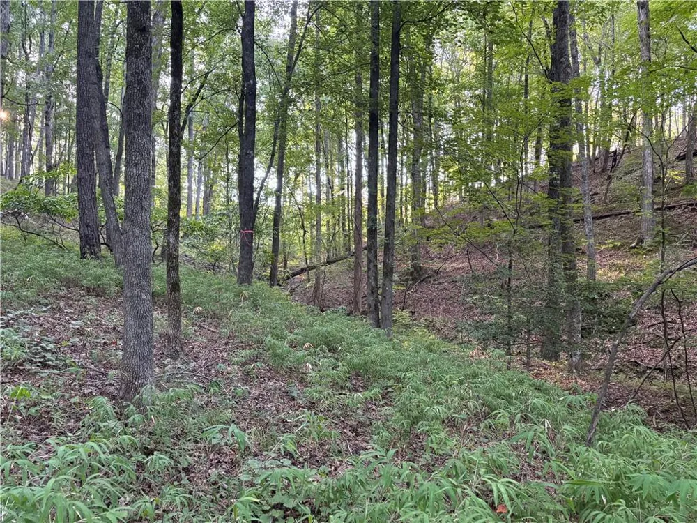 Lot 28 Norton Lane Dahlonega, GA 30533