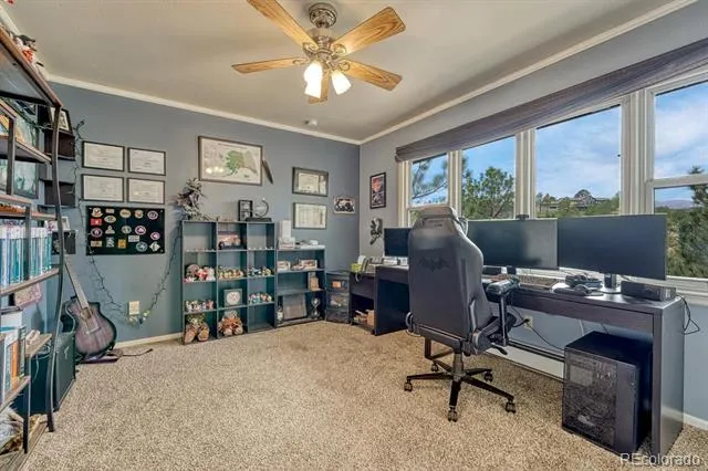 6175 Garlock Way Colorado Springs, CO 80918