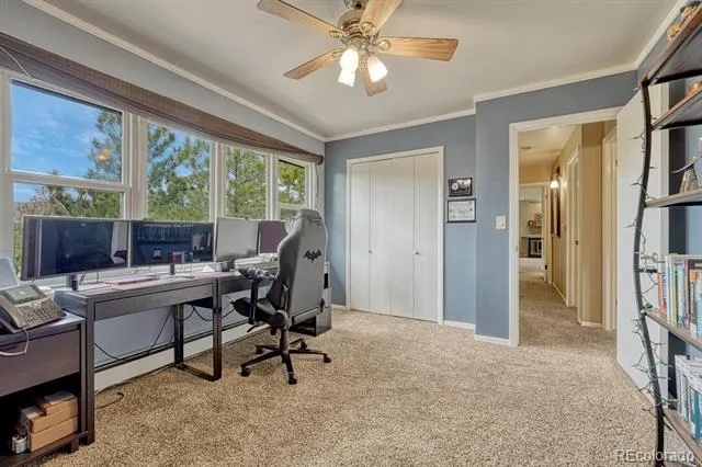 6175 Garlock Way Colorado Springs, CO 80918