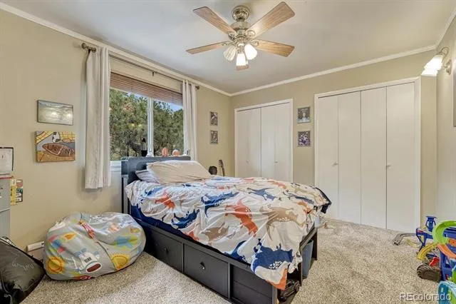 6175 Garlock Way Colorado Springs, CO 80918