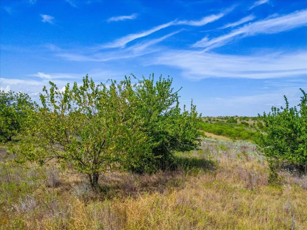11830 Old Weatherford Road Fort Worth, TX 76108