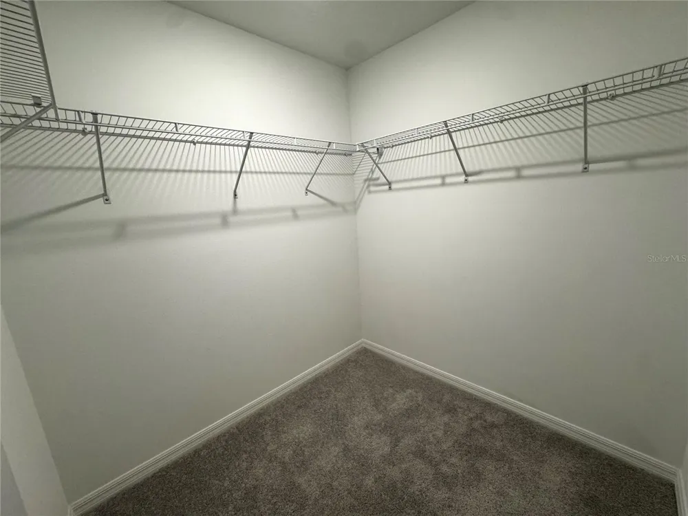 10149 TRUMPET HONEYSUCKLE WAY San Antonio, FL 33576
