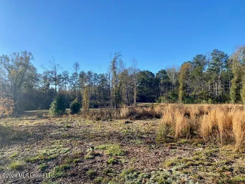 1169 Ole Springs Road