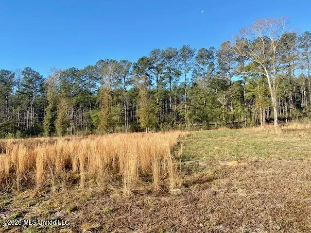 1169 Ole Springs Road Summit, MS 39666