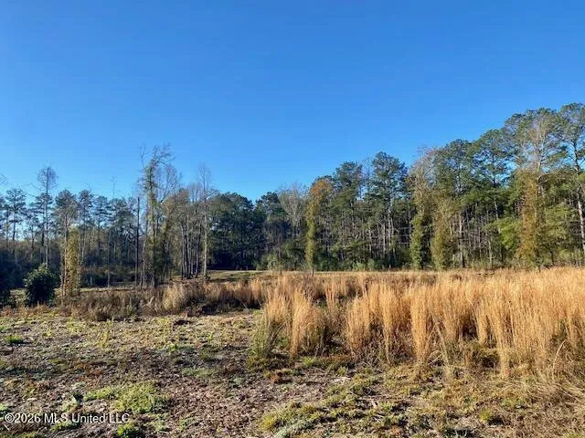1169 Ole Springs Road Summit, MS 39666
