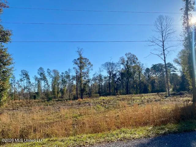 1169 Ole Springs Road Summit, MS 39666