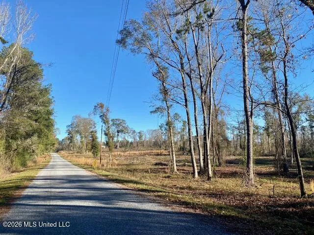 1169 Ole Springs Road Summit, MS 39666