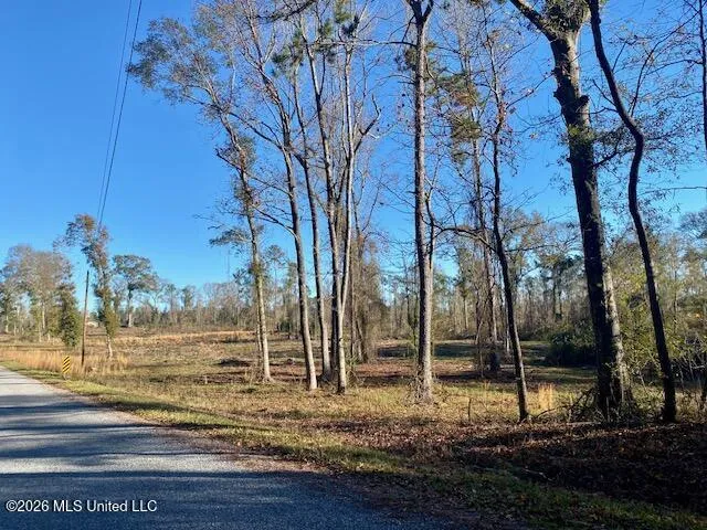1169 Ole Springs Road Summit, MS 39666