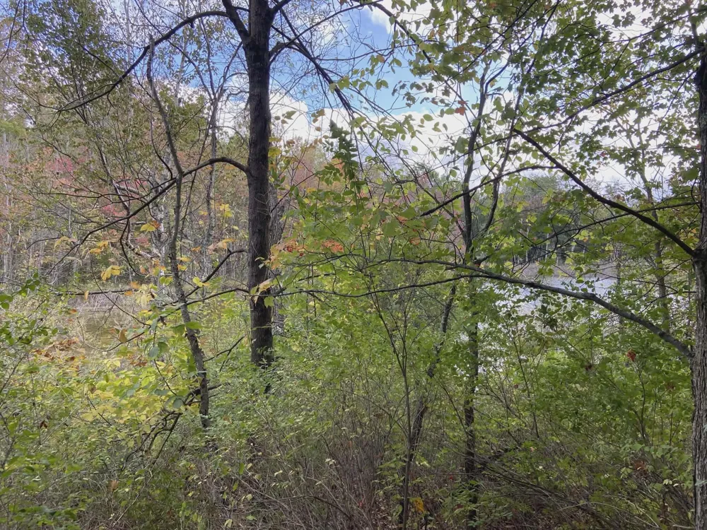 20047 Davis Lake Road Almira Township, MI 49684