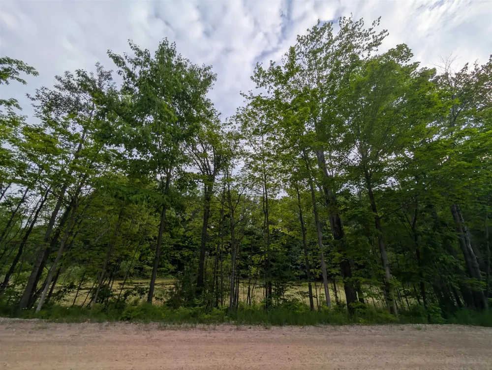 20047 Davis Lake Road Almira Township, MI 49684