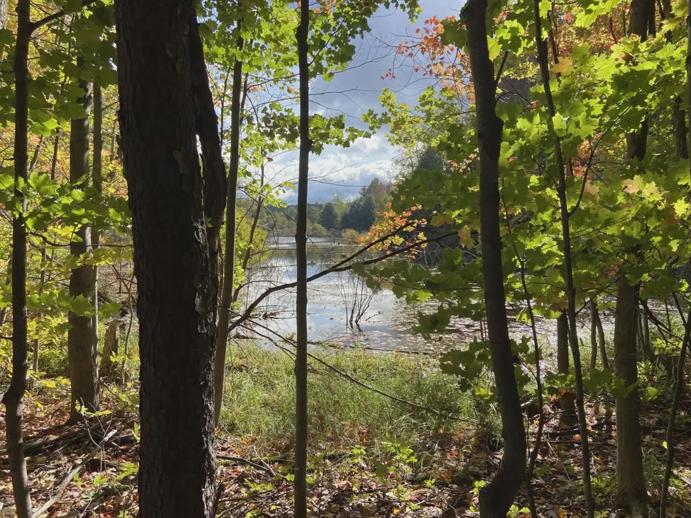 20047 Davis Lake Road Almira Township, MI 49684