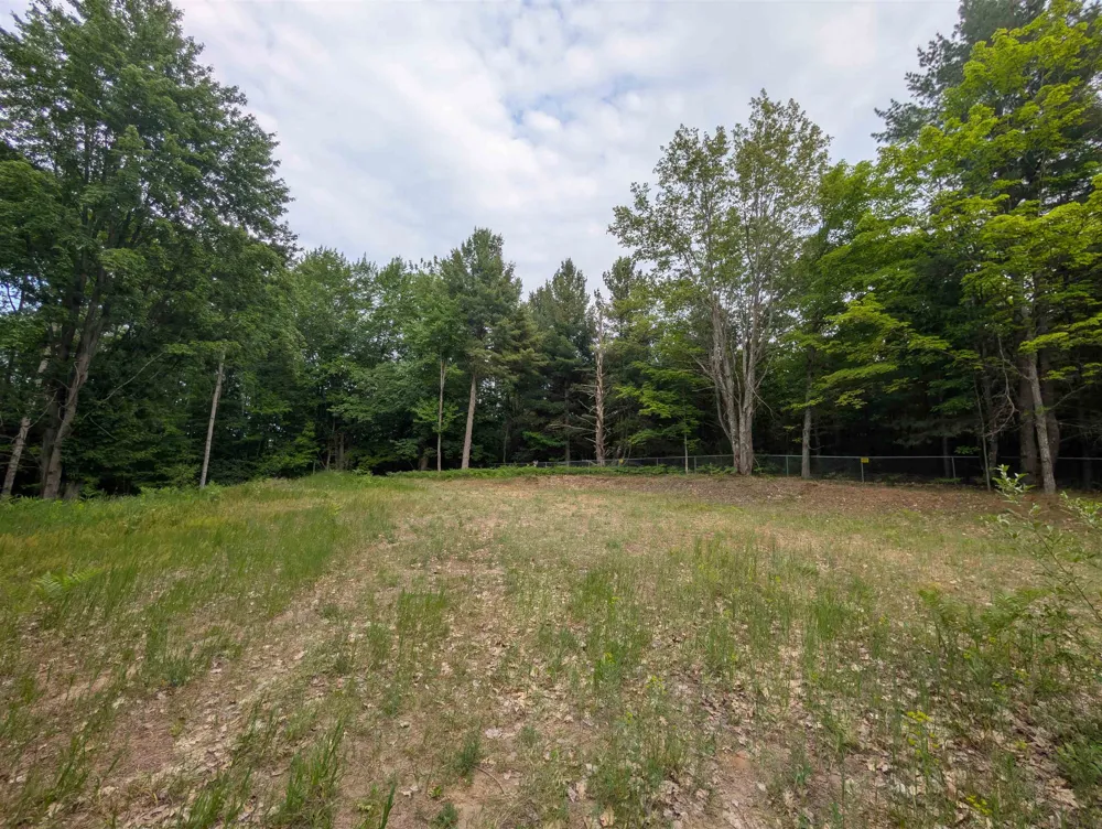 20047 Davis Lake Road Almira Township, MI 49684