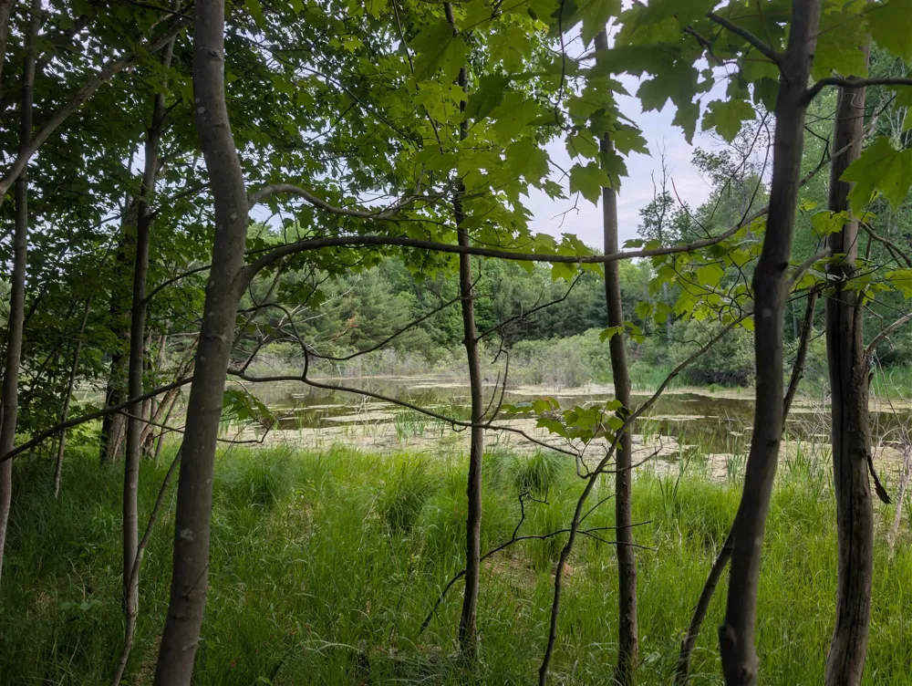 20047 Davis Lake Road Almira Township, MI 49684