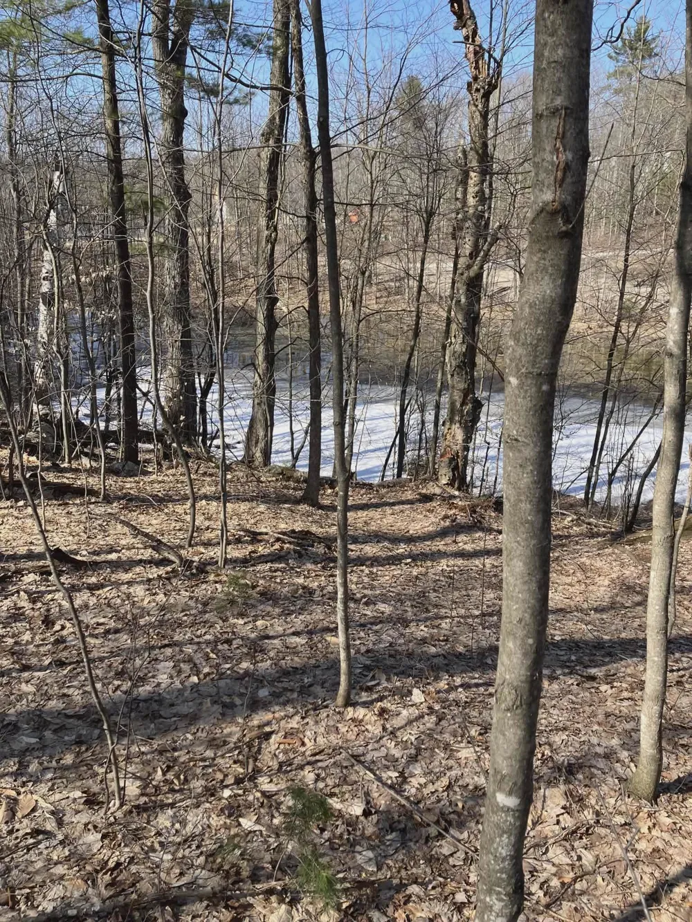 20047 Davis Lake Road Almira Township, MI 49684
