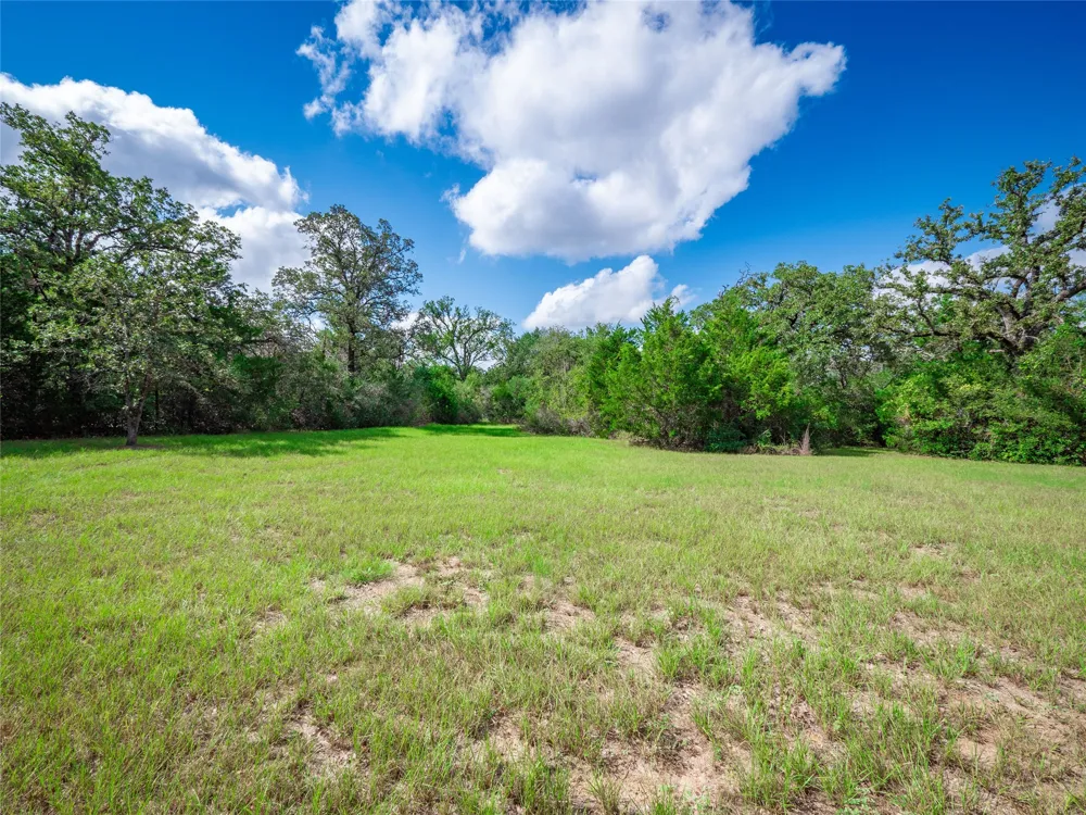 499 Hidden Oaks Drive Elgin, TX 78621