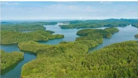 0 Carter View Drive Ellijay, GA 30540