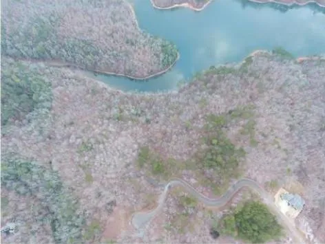 0 Carter View Drive Ellijay, GA 30540