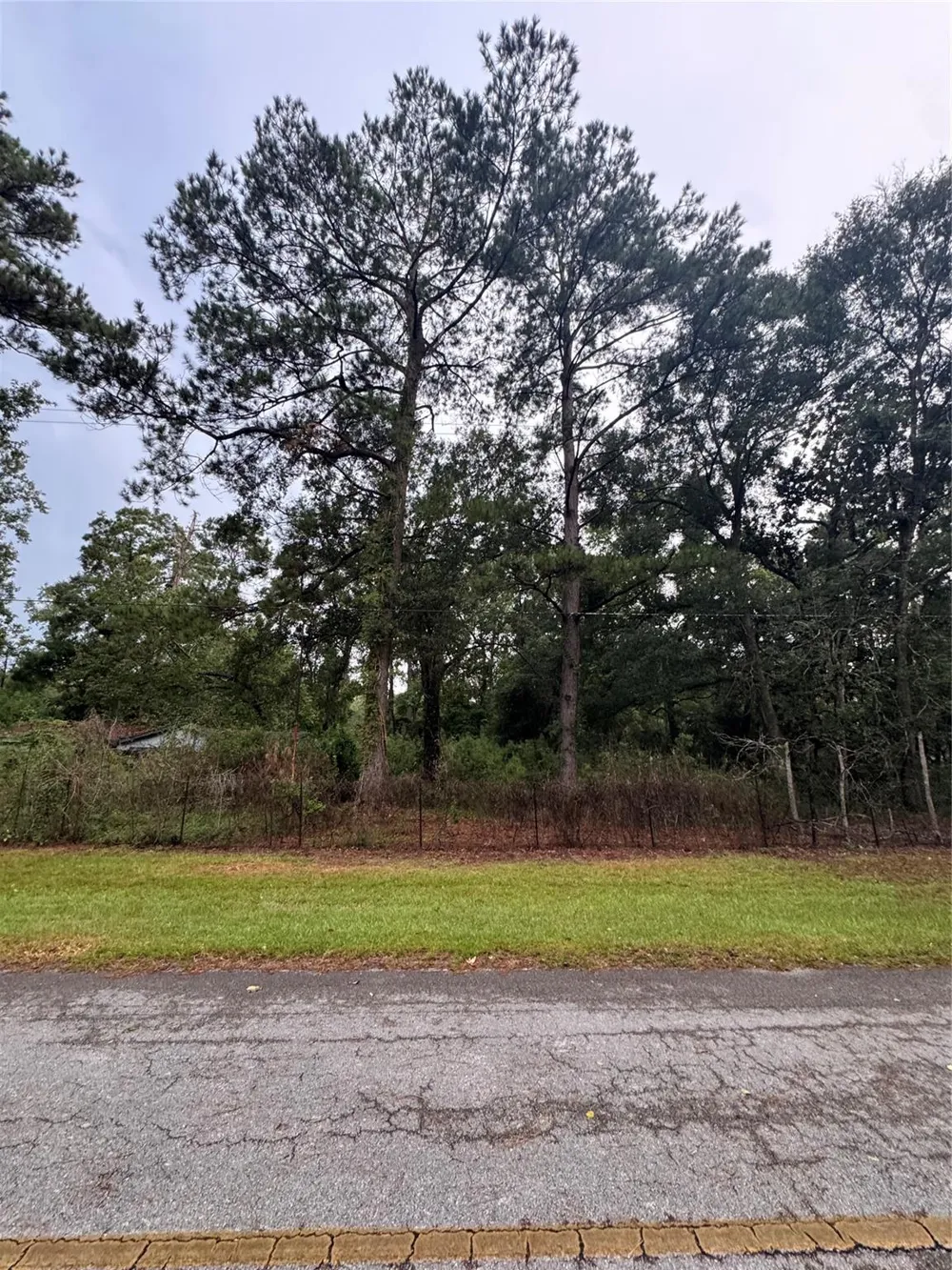 343 Wild Oak Drive Huffman, TX 77336