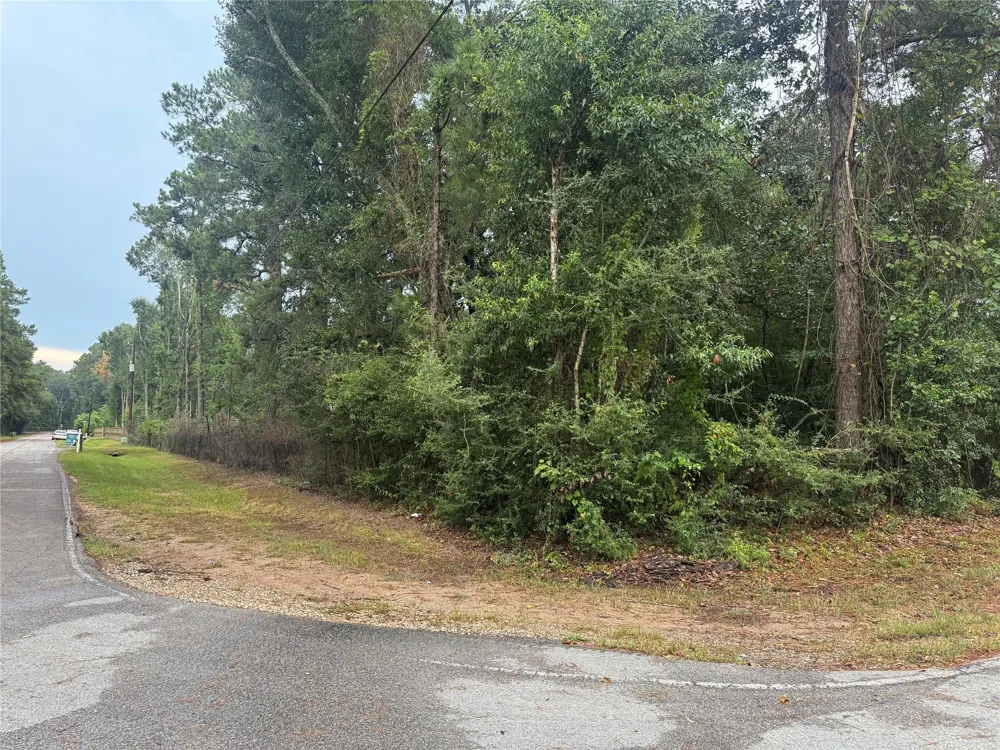 343 Wild Oak Drive Huffman, TX 77336