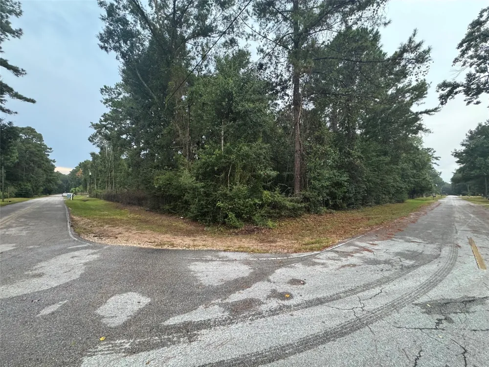 343 Wild Oak Drive Huffman, TX 77336