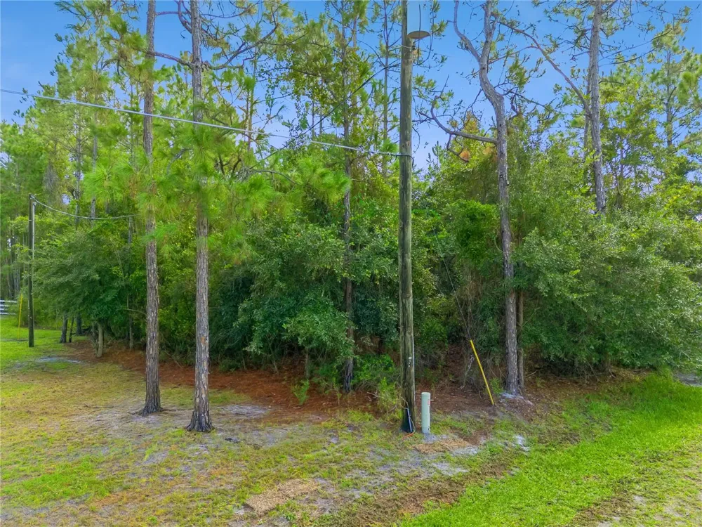 MUSTANG St Cloud, FL 34771