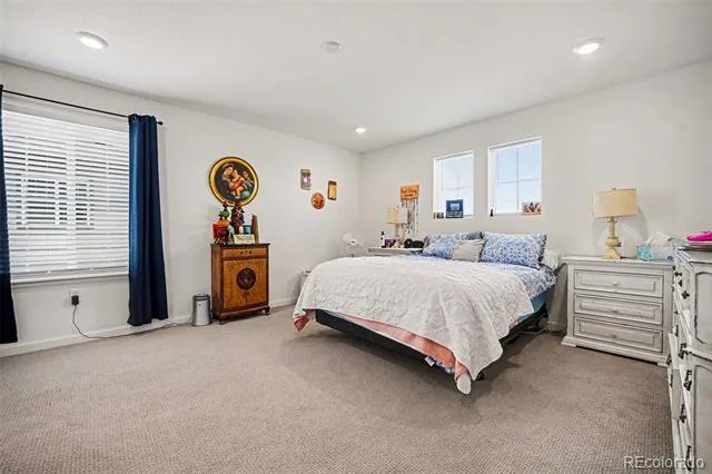 18246 Martinello Drive Parker, CO 80134