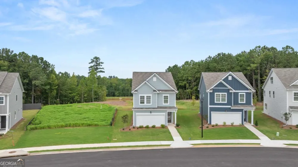 1309 Harmony Ridge CT Jonesboro, GA 30238