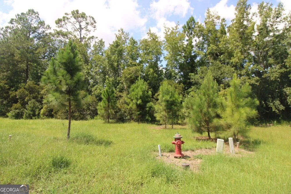 203 Drayton CIR Brunswick, GA 31525