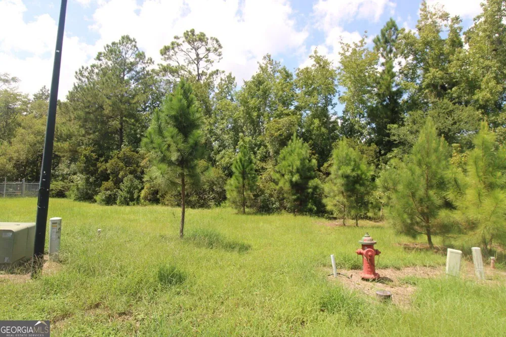 203 Drayton CIR Brunswick, GA 31525