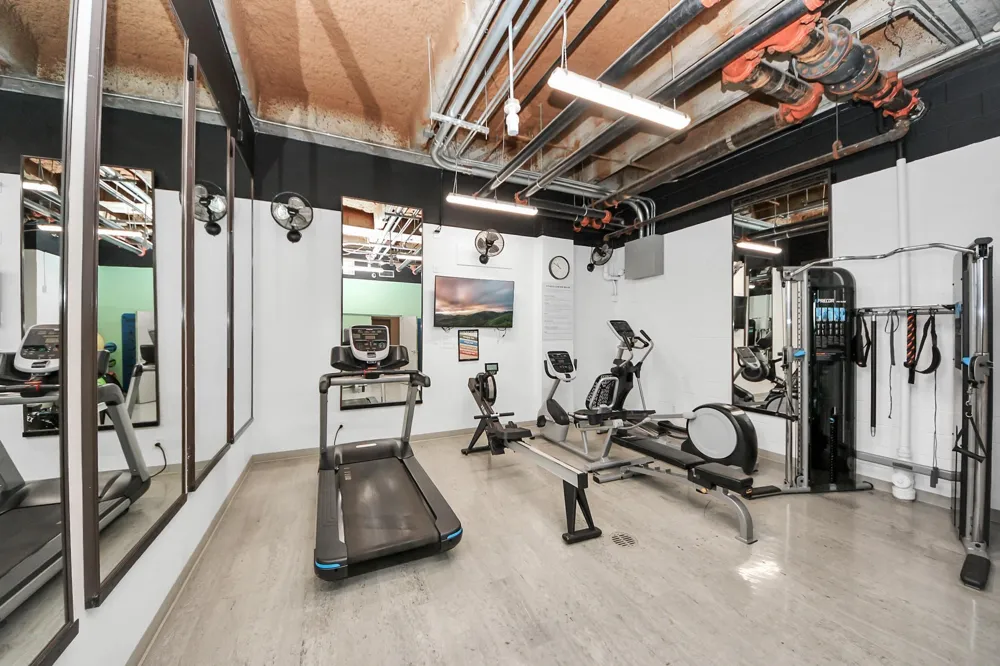 5000 Montrose Boulevard #14H Houston, TX 77006