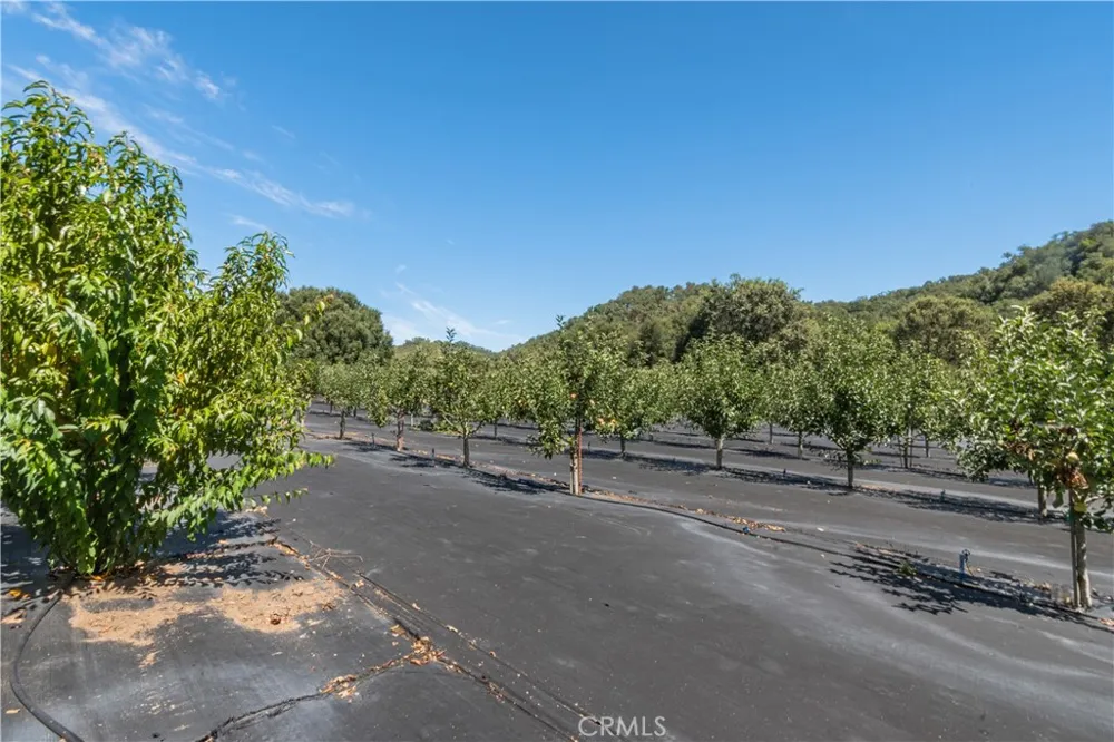 10443 Dover Canyon Road Templeton, CA 93465
