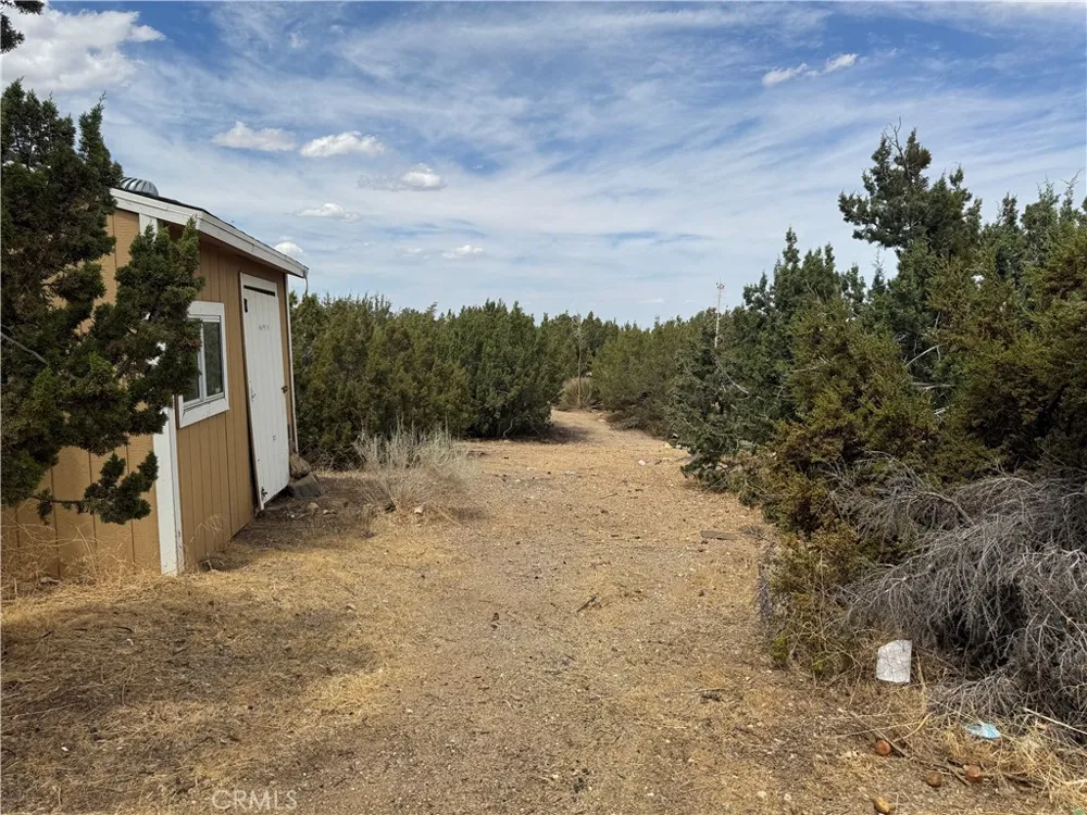 2142 Cbs (Trinity) Lane Pinon Hills, CA 92372