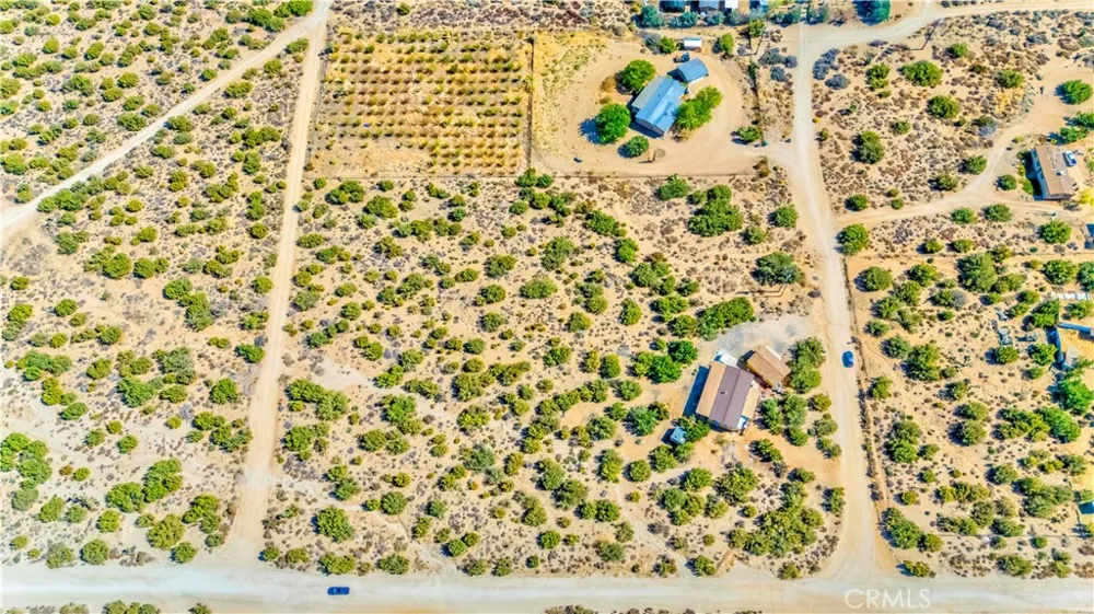 2142 Cbs (Trinity) Lane Pinon Hills, CA 92372