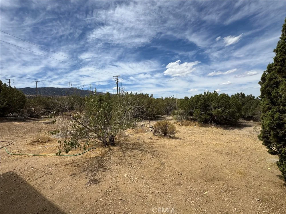 2142 Cbs (Trinity) Lane Pinon Hills, CA 92372