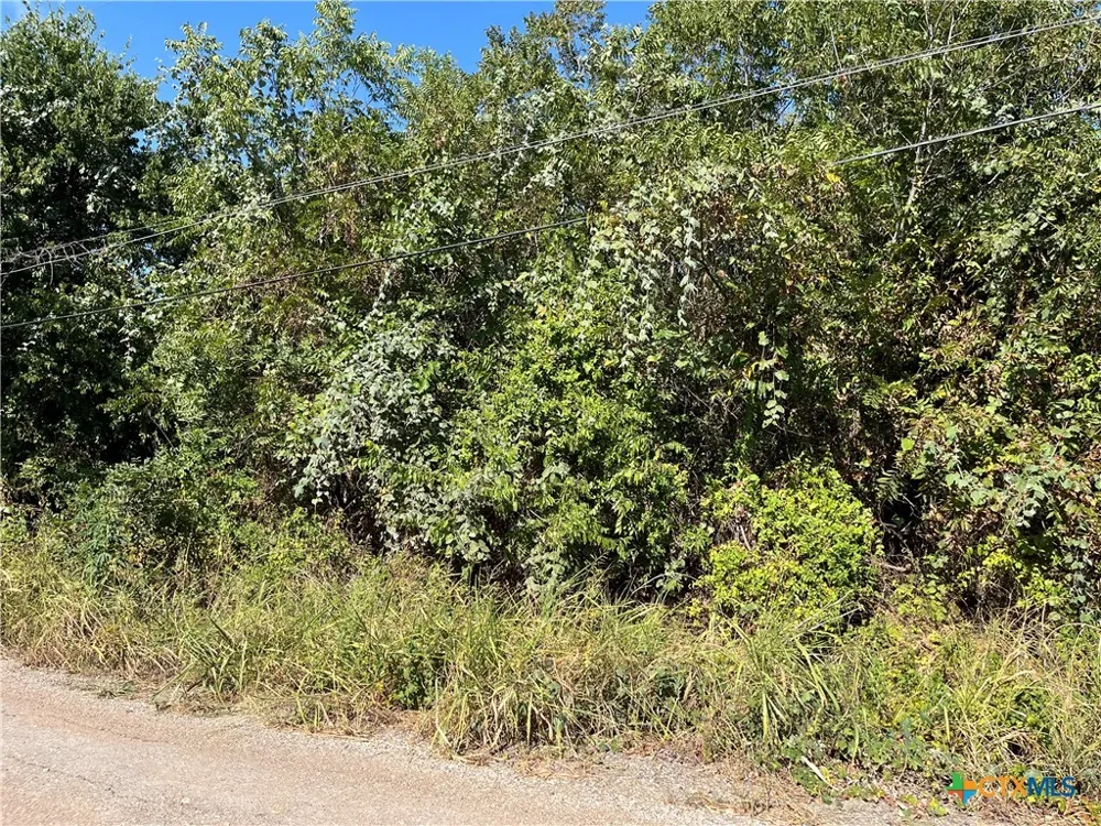 314 West Front Street Holland, TX 76534
