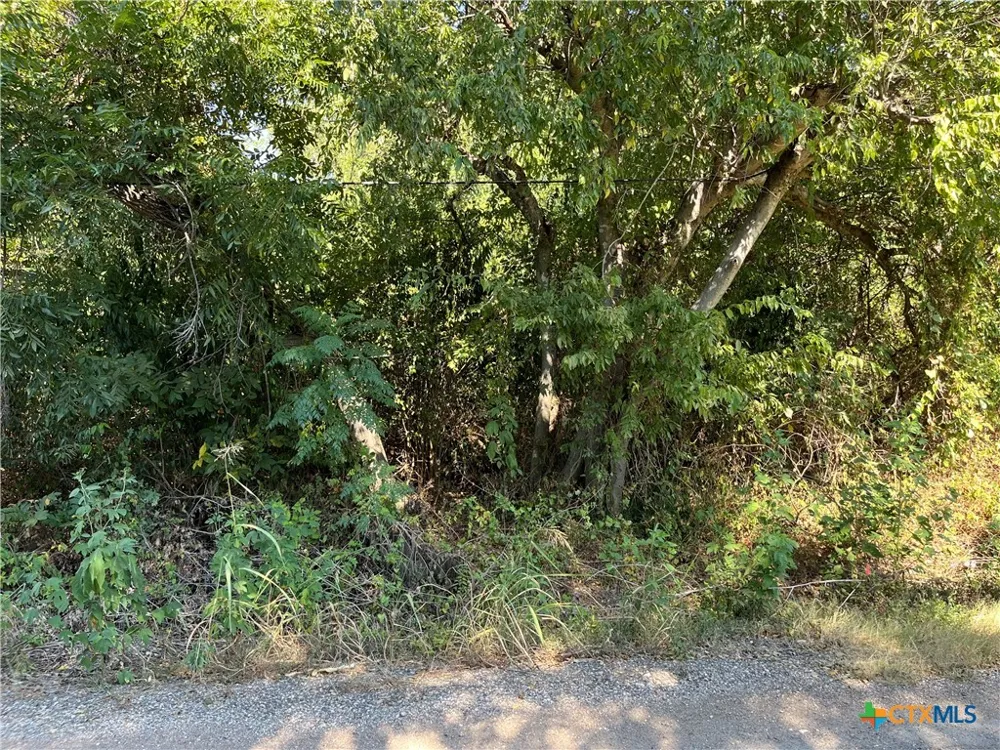 314 West Front Street Holland, TX 76534