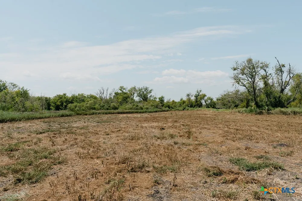 230 Guadalupe River Road Tivoli, TX 77990