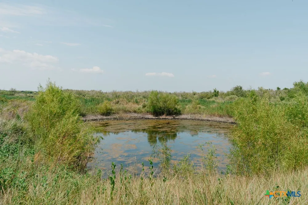 238 Guadalupe River Road Tivoli, TX 77990