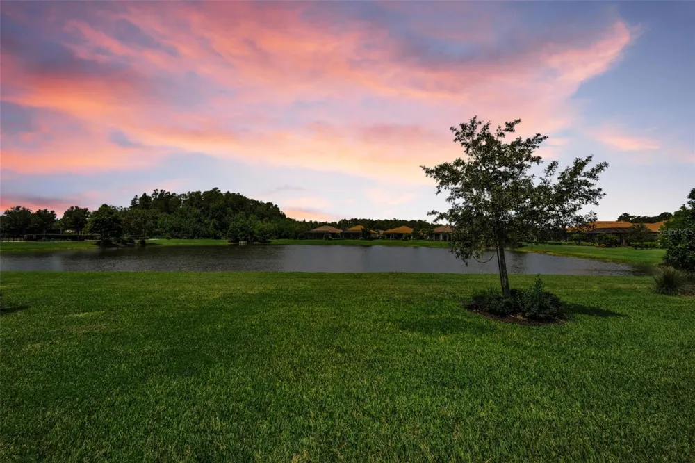 11386 JUGLANS DRIVE Odessa, FL 33556