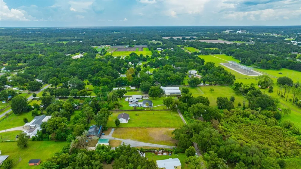 1810 BLAND WAY Dover, FL 33527