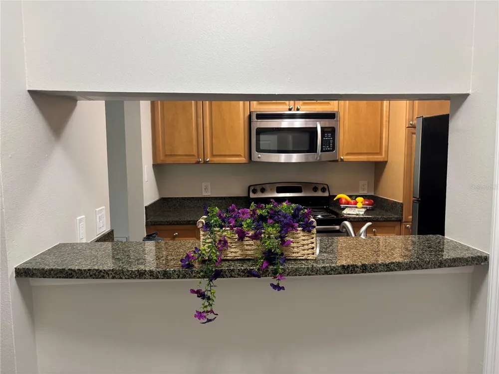 11901 4TH STREET #2103 St Petersburg, FL 33716