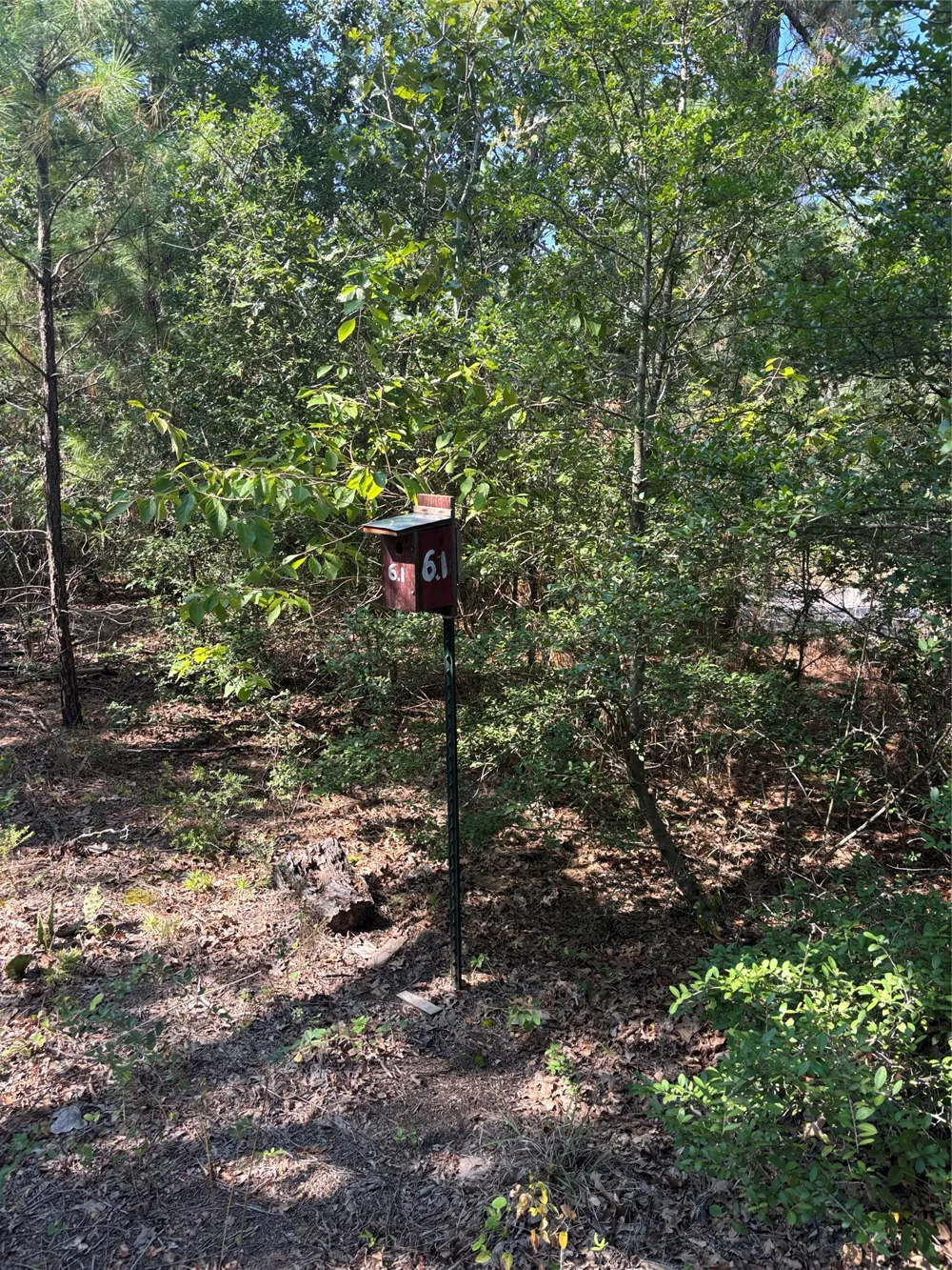 667 Paint Creek South Road Paige, TX 78659
