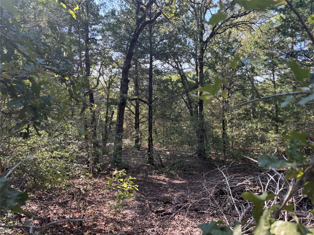 667 Paint Creek South Road Paige, TX 78659
